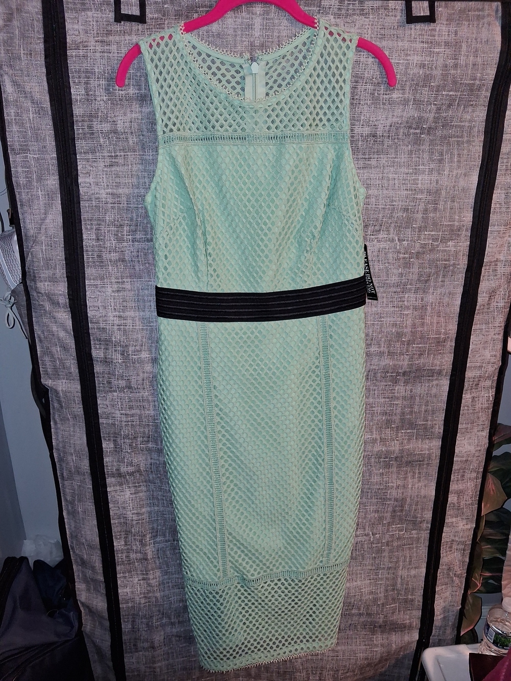 New York & Company Mint Green Lace Sheath Dress with Black Waistband
